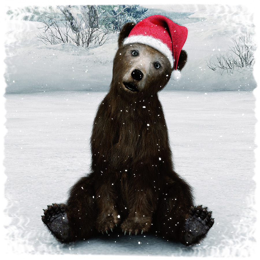 X-mas Bear
