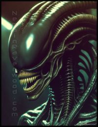 Xeno I