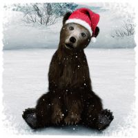 X-mas Bear